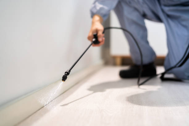 Licensed Fumigation Services service in Weyers Cave, VA - Nex Pest Control