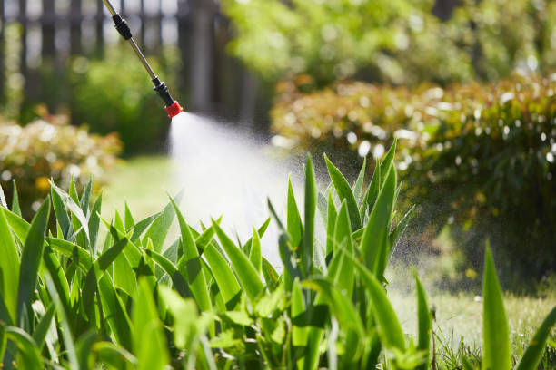 24/7 Emergency Fumigation Services experts in Weyers Cave, VA
