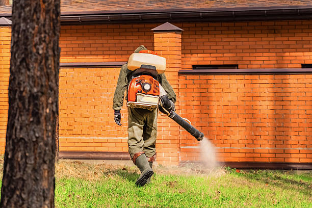 Trusted Bed Bug Control service in Weyers Cave, VA - Nex Pest Control